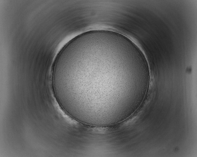 X0000115631053200911241642