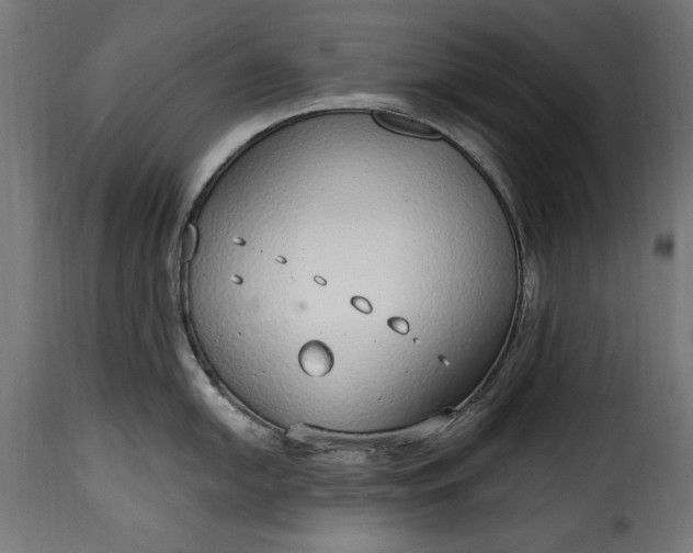 X0000115631054200911241642