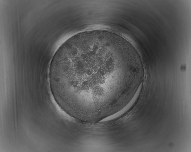 X0000115631055200911241642