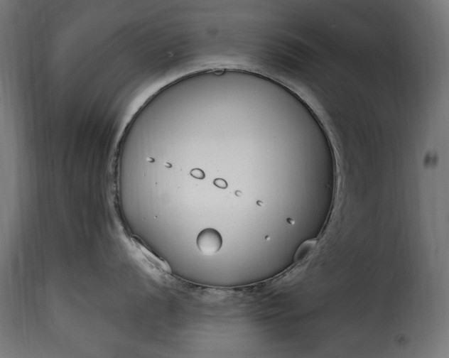 X0000115631056200911241642