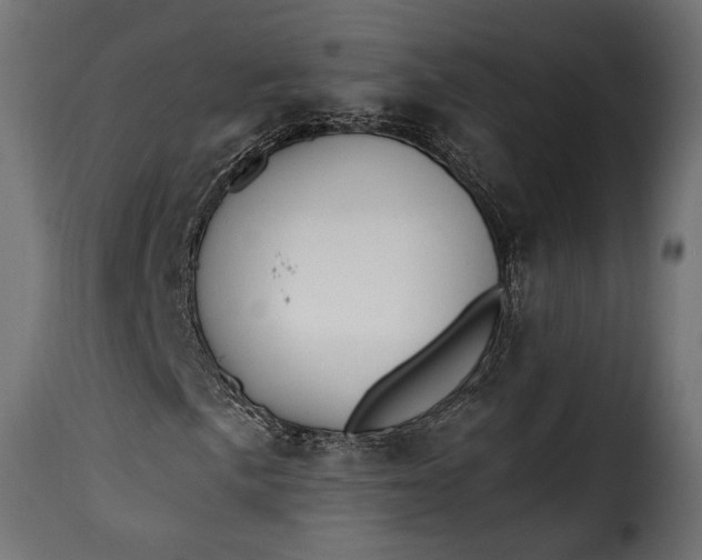 X0000115631057200911241642