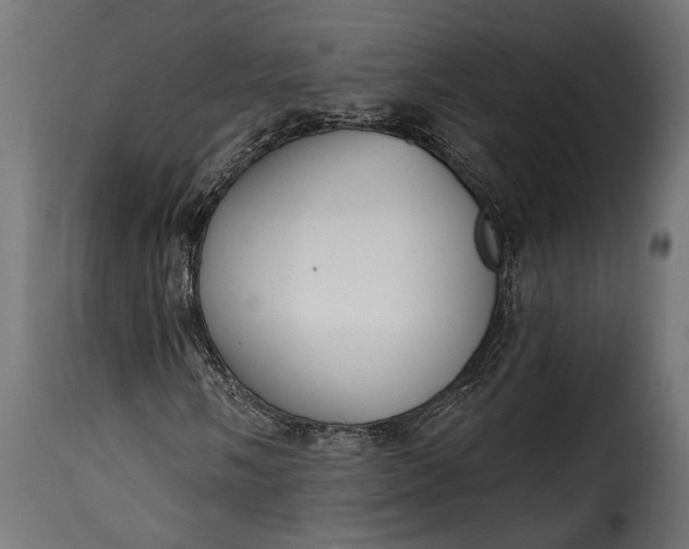 X0000115631058200911241642