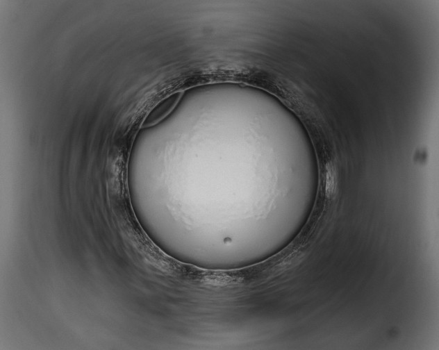 X0000115631059200911241642