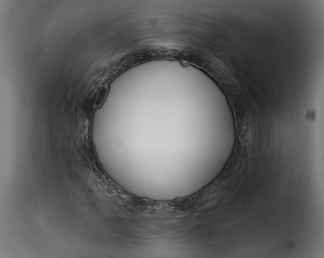 X0000115631061200911241642