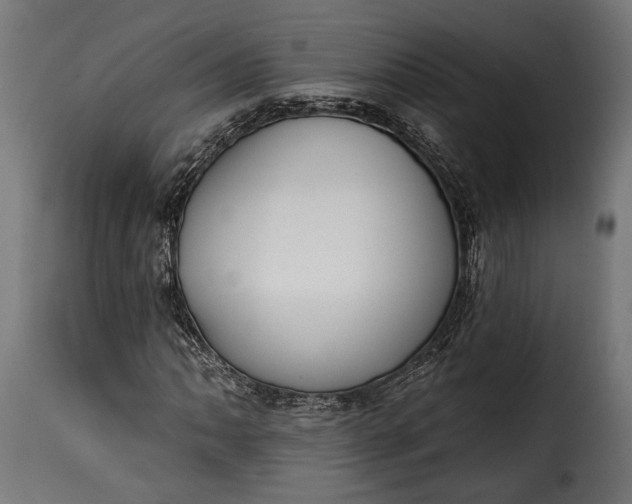 X0000115631062200911241642