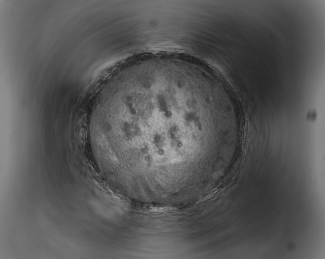 X0000115631063200911241642