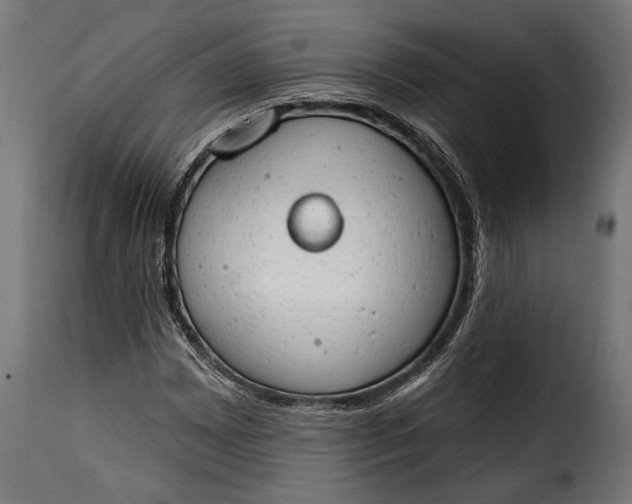 X0000115631065200911241642