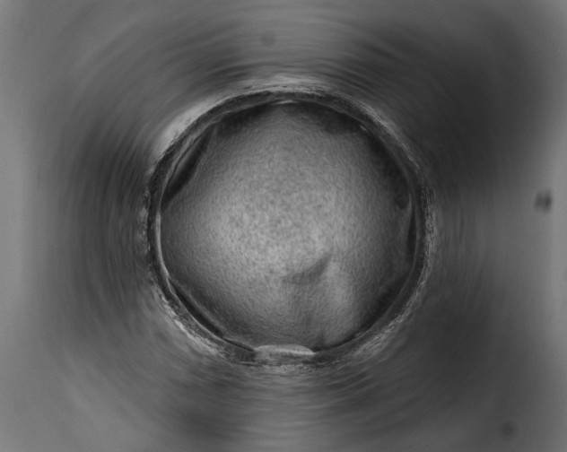 X0000115631066200911241642