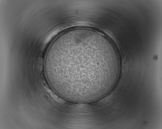 X0000115631067200911241642