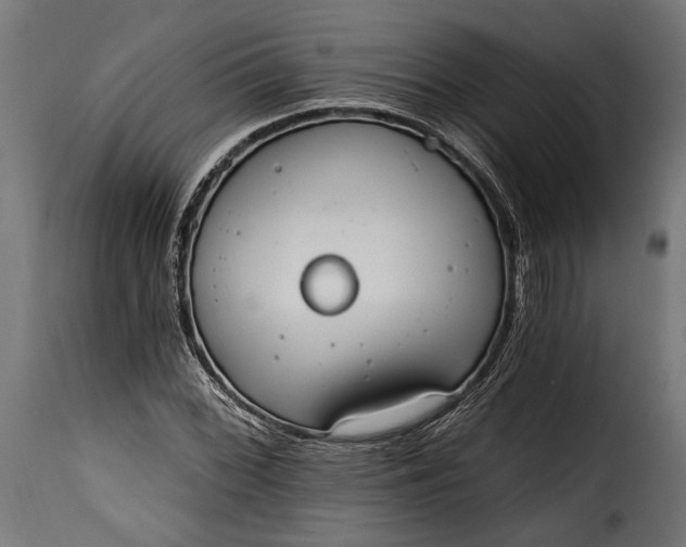 X0000115631068200911241642