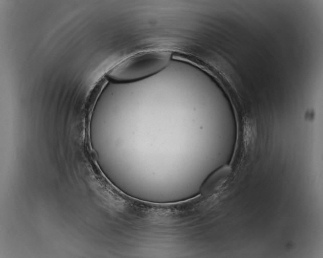 X0000115631069200911241642