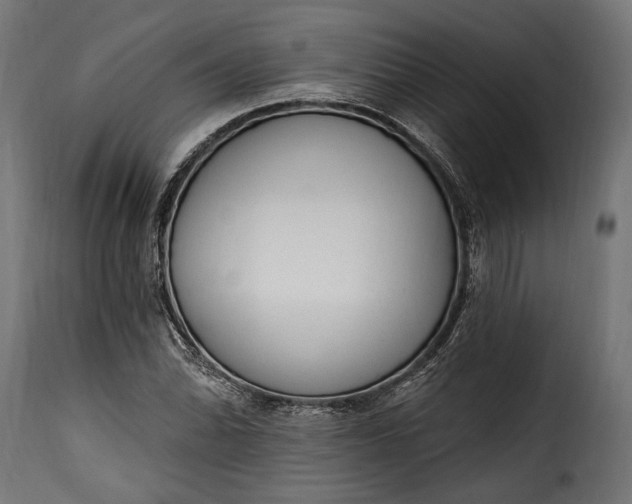 X0000115631070200911241642