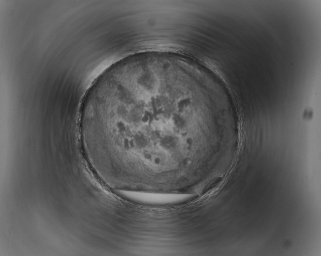 X0000115631071200911241642