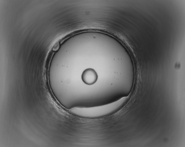 X0000115631072200911241642