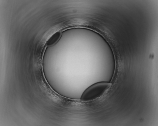 X0000115631073200911241642