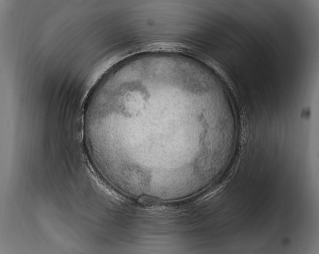 X0000115631075200911241641