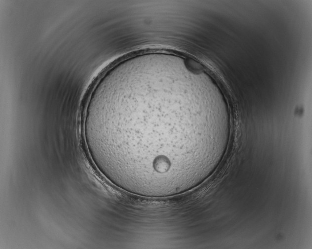 X0000115631076200911241641