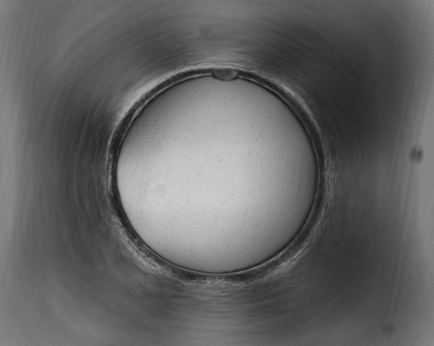 X0000115631077200911241641