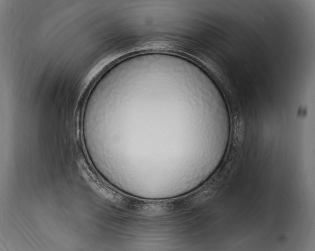 X0000115631078200911241641