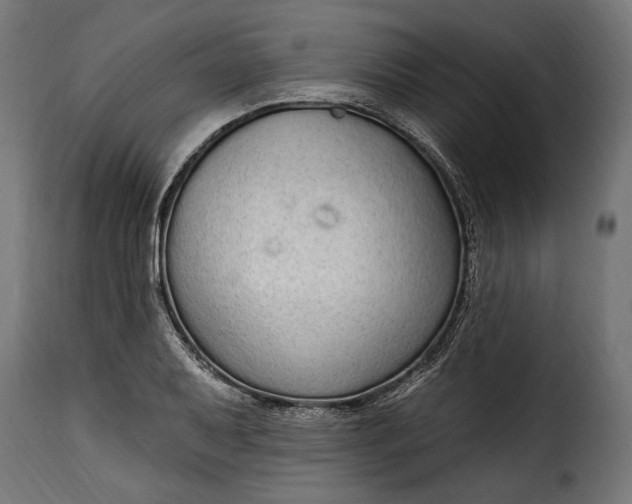 X0000115631079200911241641