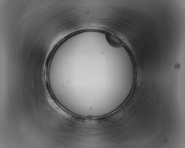 X0000115631080200911241641