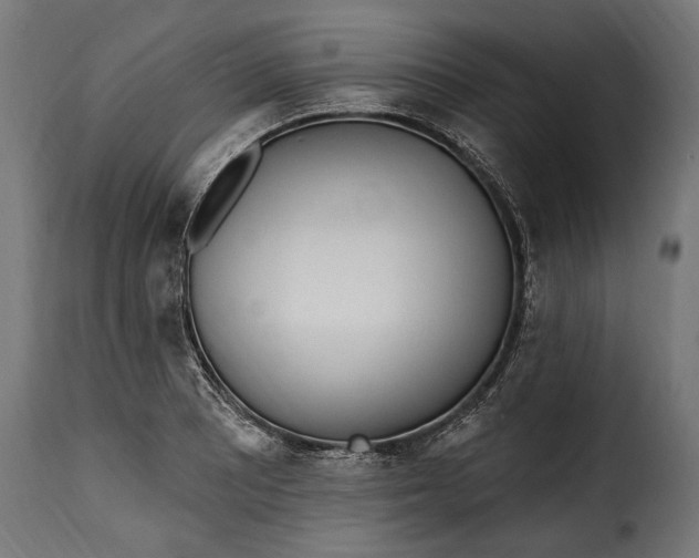 X0000115631081200911241641