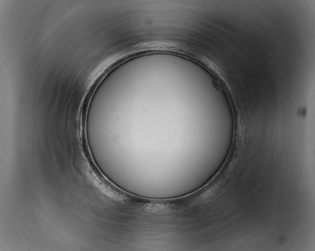 X0000115631082200911241641