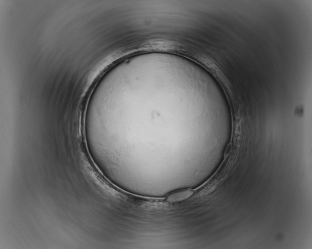 X0000115631083200911241641