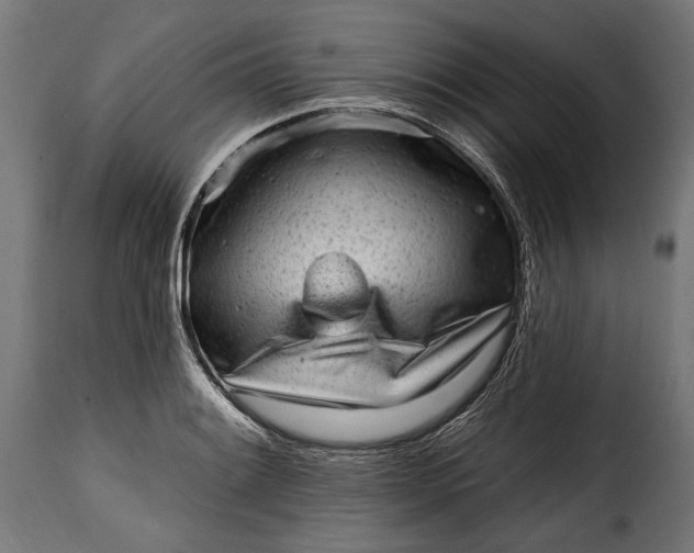 X0000115631084200911241641