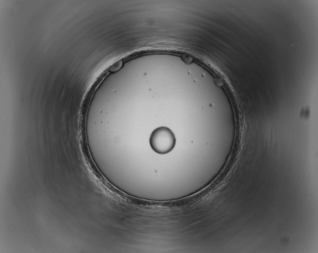 X0000115631085200911241641