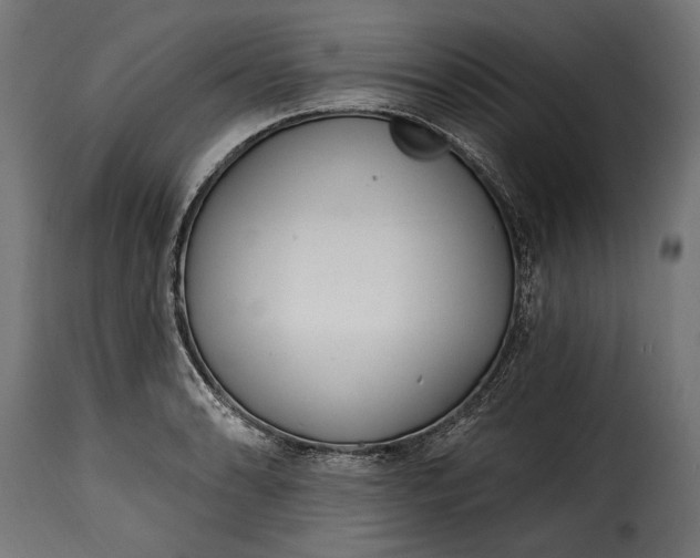 X0000115631086200911241641