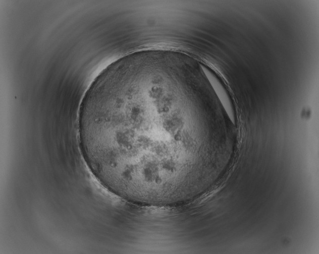 X0000115631087200911241641