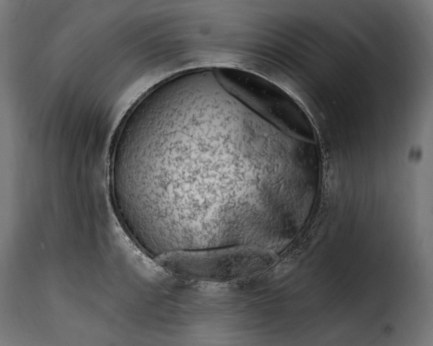 X0000115631088200911241641