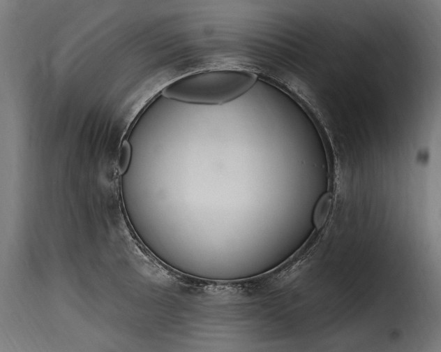 X0000115631089200911241641