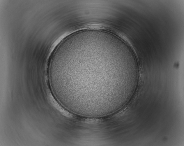 X0000115631091200911241641