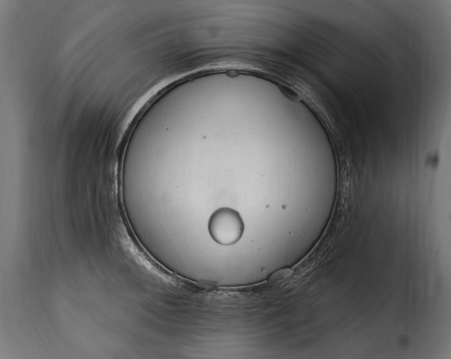 X0000115631092200911241641