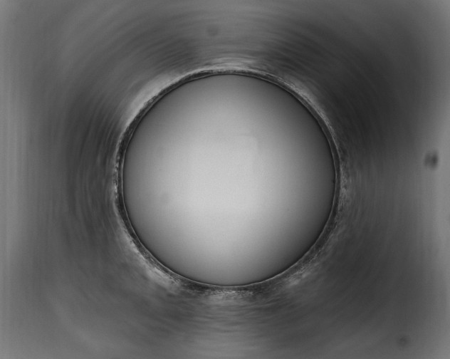 X0000115631093200911241641