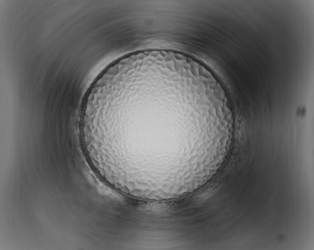 X0000115631094200911241641