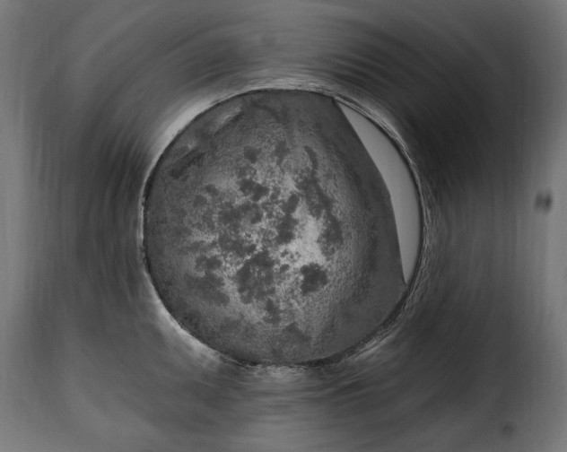 X0000115631095200911241641