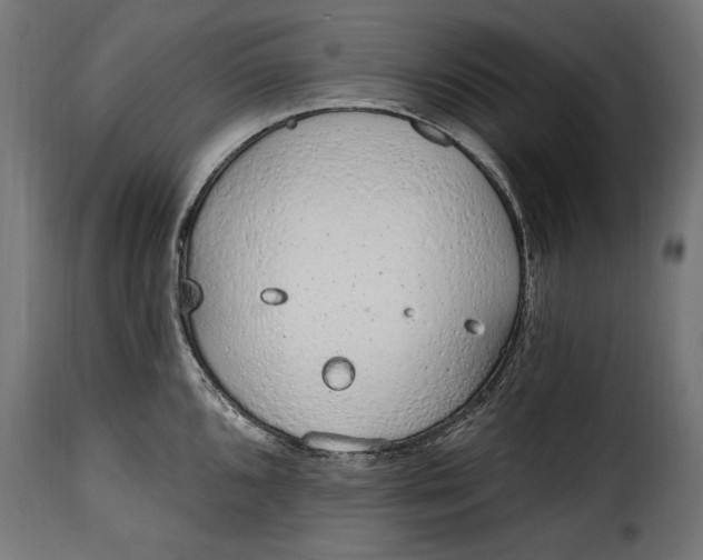 X0000115631096200911241641