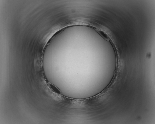 X0000115631097200911241641