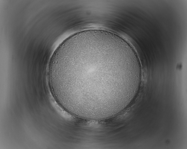 X0000115631098200911241641