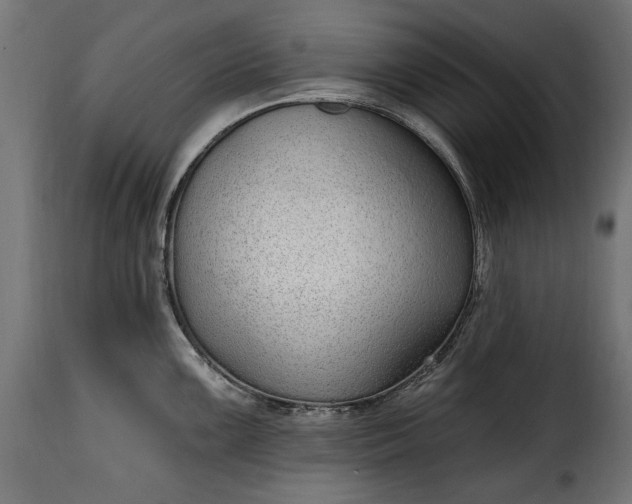 X0000115631099200911241641