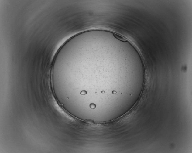 X0000115631100200911241641