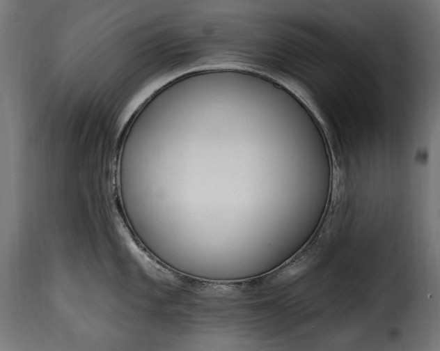 X0000115631101200911241641