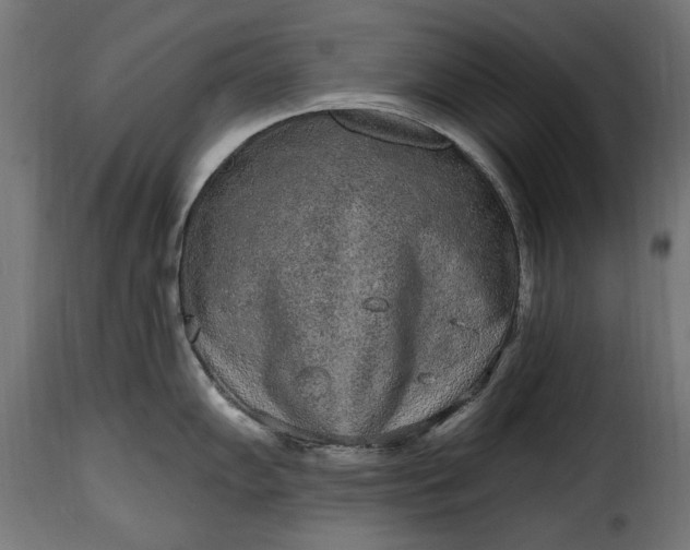 X0000115631102200911241641