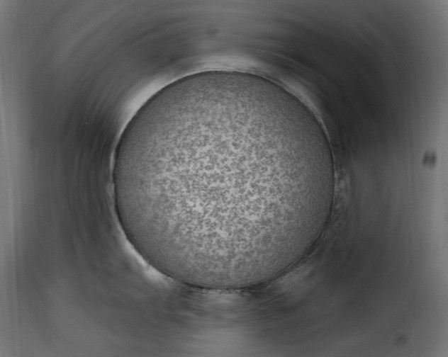 X0000115631103200911241641