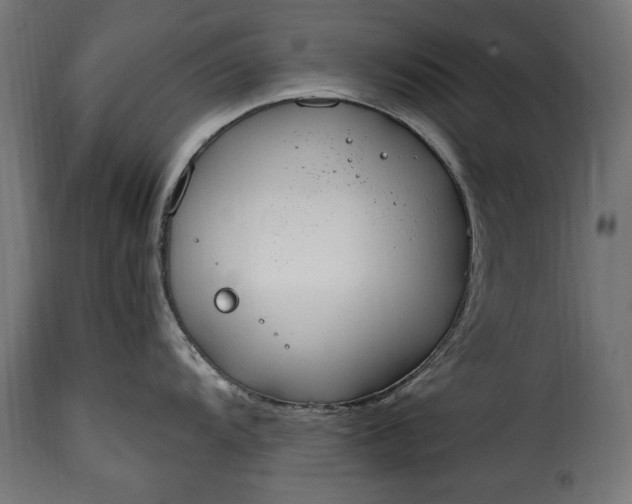 X0000115631104200911241641