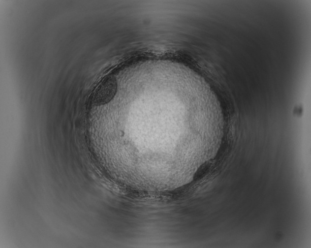 X0000115631105200911241640