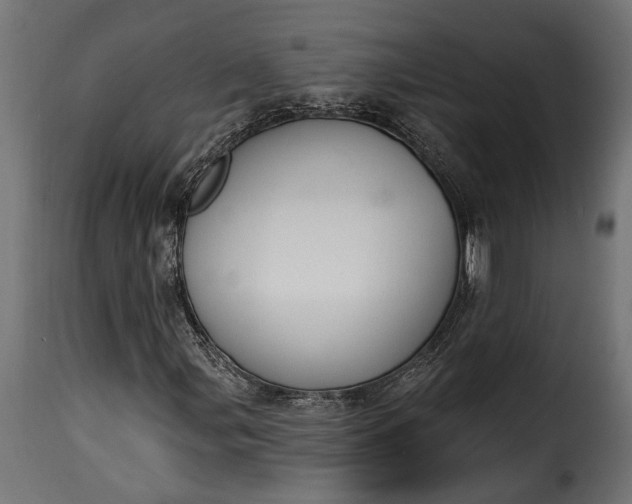 X0000115631107200911241640